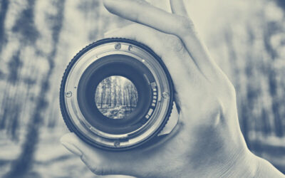 PPL: Past Painful Learning